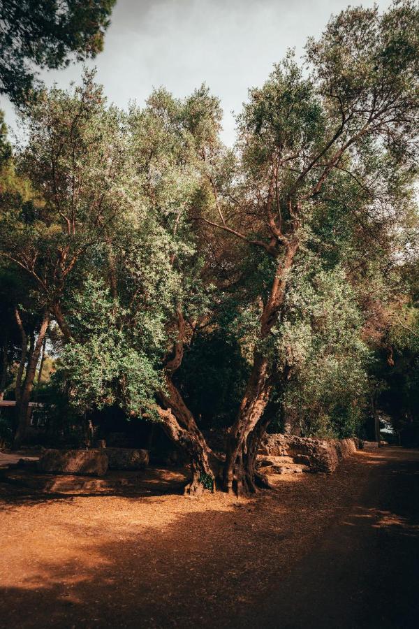 I Giardini Di Santomaj Apartman Leporano Kültér fotó